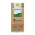 JENGIBRE CITRUS BIO CAJA 10 PIRÁMIDES ENSOBRADAS