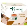 TÉ NEGRO-CANELA BIO BIOBOX 20 PIRÁMIDES