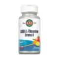 NEW GABA L-THEANINE STRESS B -100 C