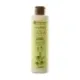 CHAMPÚ BIO VIRGEN EXTRA 200ml
