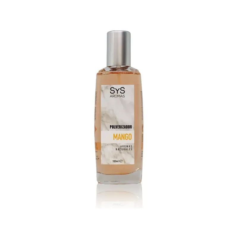 AMBIENT.PUL. SYS 100ml MANGO