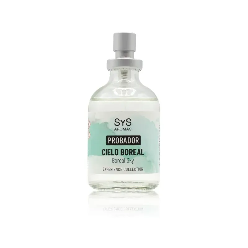 AMBIENT.PUL. SYS EXPERIENCE 300ml CIELO BOREAL