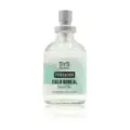 AMBIENT.PUL. SYS EXPERIENCE 300ml CIELO BOREAL