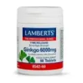 GINKGO BILOBA 60 CAP6000 MG