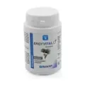 ERGYVITAL HOMBRE 60CAP