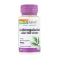 ARABINOGALACTAN - 60 VEGCAPS