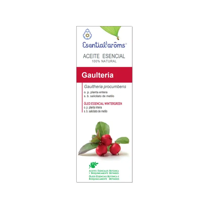 ESENCIA GAULTERIA   10ml  ESENTIAL´AROMS