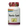 MASTIC GUM 500 MG - 45 VEGCAPS