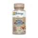 ROYAL AGARICUS(CHAMPIÑON DEL SOL) 5