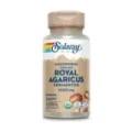 ROYAL AGARICUS(CHAMPIÑON DEL SOL) 5
