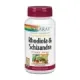 SCHIZANDRA & RODHIOLA 500 MG - 60 V