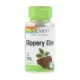 SLIPPERY ELM BARK 400 MG. - 100 VEG