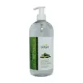 JUGO ALOE VERA  500 ML