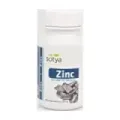 ZINC 500 MG 100 COMP