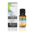 CALAMO NEPAL AE, 10ml