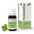 PACHULI AE, BIO (ECO), 10ml
