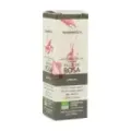 PALO DE ROSA AE, 10ml