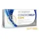 CONDROHELP 60 CAPSULAS