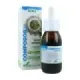 COMPOSOR 28 NERVAL COMPLEX S. XXI