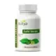 CAFE VERDE 90 CAPSULAS DE 600 MG