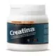 CREATINA 350G POLVO