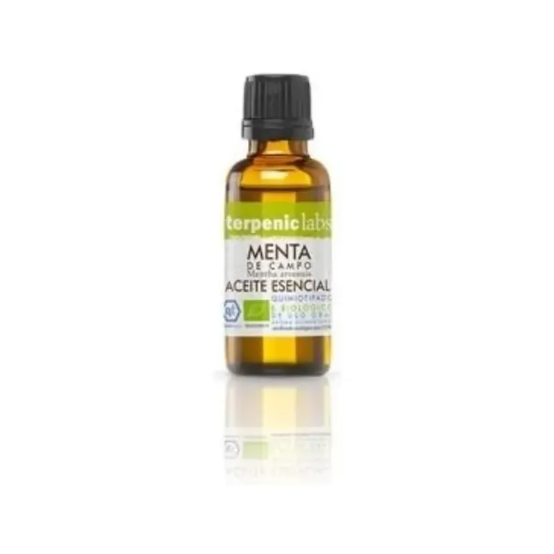 MENTA CAMPO AE, BIO, 100ml