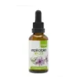 EXTRACTO DE EPILOBIO ECO PLANTIS 50