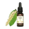 FLORES DE BACH 17 HORNBEAM -  HOJAR BIO DEMETER*  - 20 ml