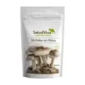 SHIITAKE EN POLVO ECO (125 G)