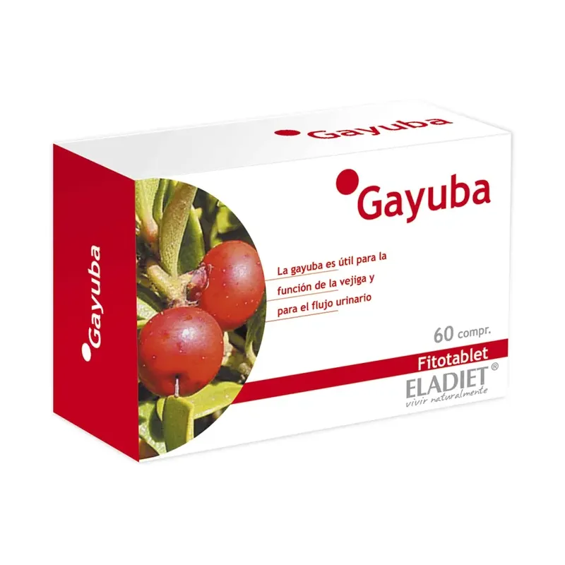 GAYUBA 60 COMP. DE 330 MG