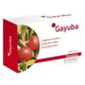 GAYUBA 60 COMP. DE 330 MG