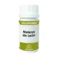 HOLOFUNGI MELENA DE LEON  50 CÁP.