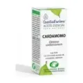 ESENCIA CARDAMOMO 30ml   ESENTIAL´AROMS