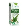 ESENCIA EUCALIPTO POLI. 5ml  ESENTIAL´AROMS