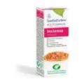 ESENCIA INCIENSO  30ml ESENTIAL´AROMS