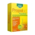 PROPOLGOLA JENGIBRE (15TABL.)