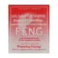 UNGUENTO BALSAMO JENGIBRE 500ml FENG SHUI