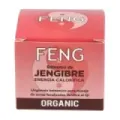 UNGUENTO BALSAMO JENGIBRE 50ml FENG SHUI