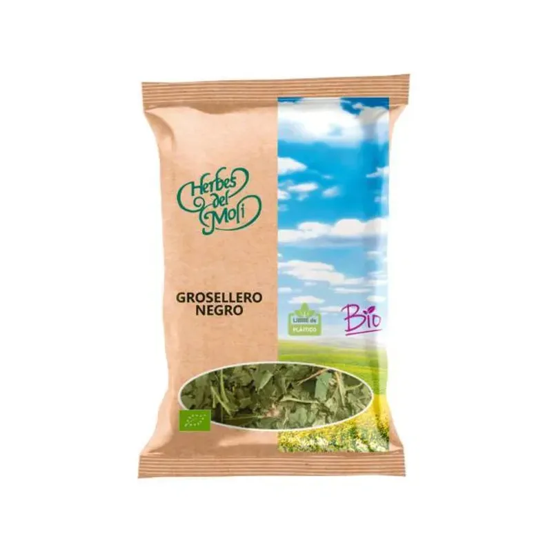 GROSELLERO NEGRO, HOJA ECOLOGICO 1 KG