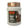 WHEY 100% PROT 500G CHOC/LECHE 500g