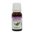 ACEITE ESENCIAL EUCALIPTO 10ml