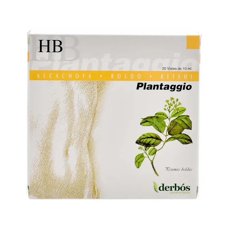PLANTAGGIO CR