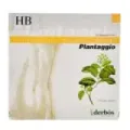 PLANTAGGIO CR