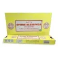 INCIENSO (SATYA) DIVINE BLESSINGS CAJA 12U