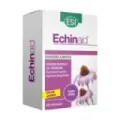 ECHINAID EXT. S/A