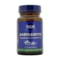 HARPAGOFITO (60 COMPRIMIDOS)