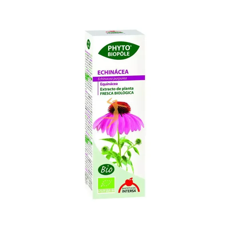 PHYTO ECHINACEA 50ML