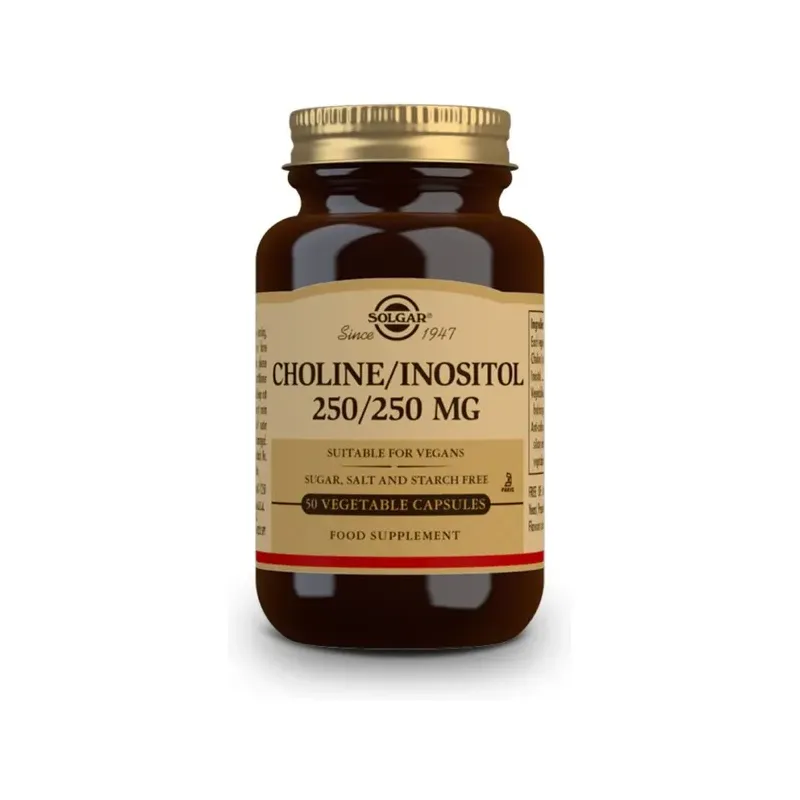 COLINA/INOSITOL 250 MG/250 MG 60 COMP