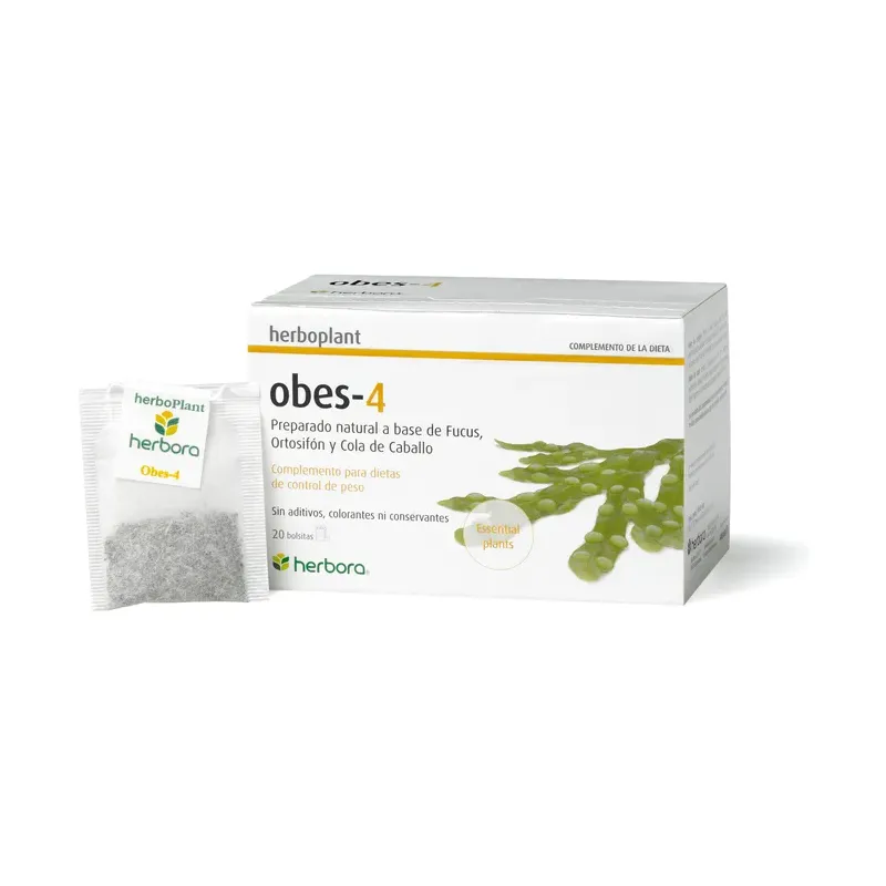 OBES-4