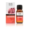ESENCIA HIDROSOLUBLE BRUMAROMA SYS 50ml FRUTOS ROJ